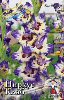 Gladiolus Circus Club