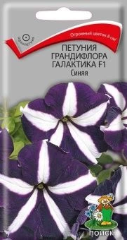00021388_Петуния Галактика F1 синяя грандифлора 10