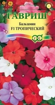00012586_Бальзамин Уоллера Тропическая смесь гибри