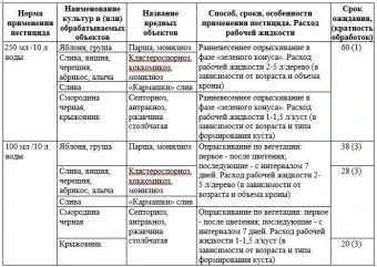 Бордоская жидкость 100мл (Август)