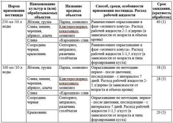 Бордоская жидкость 100мл (Август)