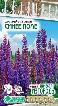 00041978_Шалфей луговой Синее поле 0,1г (ЕС)