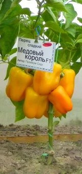 9f7abce804ccf79f10020a0db809b849