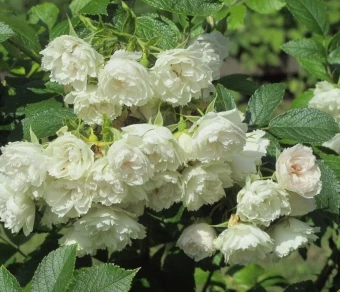 Снимок экрана 2026-02-19 141231