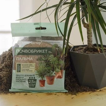 00041830_Почвобрикет Пальма 2,5л круглый 1_33 (Б_М