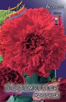 00036157_Бегония бахромчатая Красная 5шт (КолорЛай