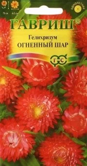 00013432_Гелихризум Огненный Шар (Гавриш) 1800
