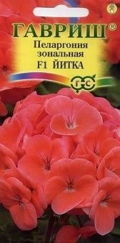 Пеларгония Йитка зональная (Гавриш) 1/1000