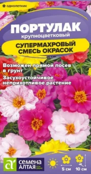 Снимок экрана 2025-08-08 153643