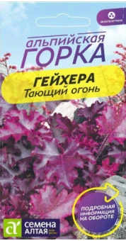 Снимок экрана 2025-08-08 124515