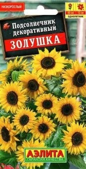 00018795_Подсолнечник Золушка (Аэлита)