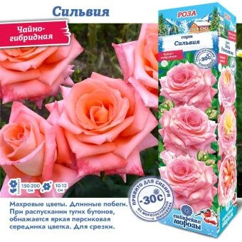 5gibkbqv5njjdehw5lzu1rpwbbew6wwa