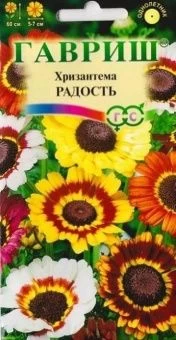 00010217_Хризантема Радость (Гавриш) 1_600