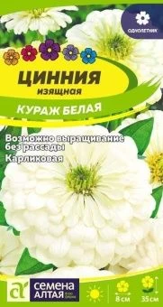 00043428_Цинния Кураж Белая карликовая 0,3г (Сем Алт)