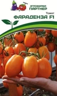 Снимок экрана 2023-01-25 170437