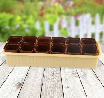 00027960_Рассадник на 12 стаканчиков бежевый ДД (Р