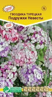 ЦБ-00004412_Гвоздика турецкая Подружки невесты (Евросемена)