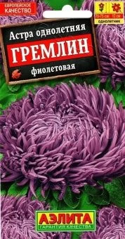 00022717_Астра Гремлин фиолетовая (Аэлита)