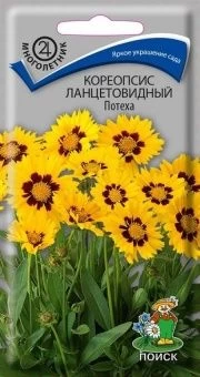 00036591_Кореопсис ланцетовидный Потеха 0,1г (ПОИС
