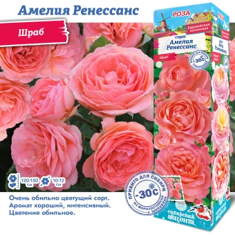 ax0u9d11ve0aq4wk5pkv2xmp92z0kuvf