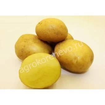 Krasa-mescheri-500x500