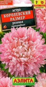 00022743_Астра Королевский размер розовая (Аэлита)