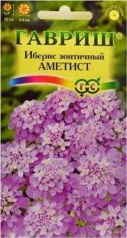 00012594_Иберис Аметист (Гавриш) 1800