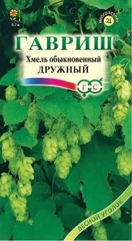 00008199_Хмель Дружный обыкновенный (Гавриш)