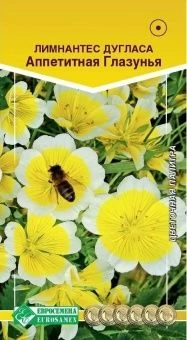 00041964_Лимнантес Дугласа Аппетитная глазунья 10ш