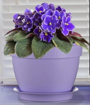 Антик фиалочница горшок с поддоном 0,75л d13 h9,5 лаванда 11260 (ТехПласт)