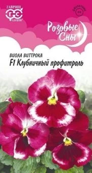00030426_Виола Клубничный профитроль (Гавриш)