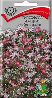 00036584_Гипсофила изящная Смесь окрасок 0,2г (ПОИ