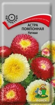 00040697_Астра Наташа помпонная 0,3г (ПОИСК)