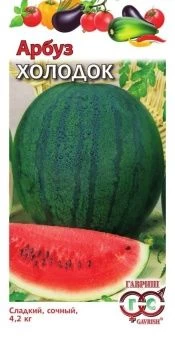 00008216_Арбуз Холодок  (Гавриш) 1_600