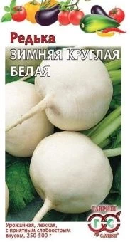00012858_Редька Зимняя круглая белая (Гавриш) 1120