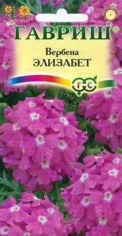 00009450_Вербена Элизабет (Гавриш) 11200