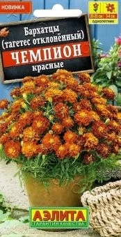 00035506_Бархатцы Чемпион красные (Аэлита)