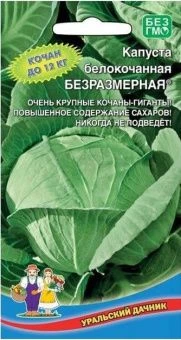 00024230_Капуста бк Безразмерная (УД)