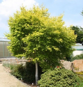 Снимок экрана 2026-04-02 122628