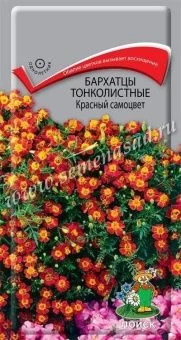 00030391_Бархатцы Красный самоцвет тонколистные  0