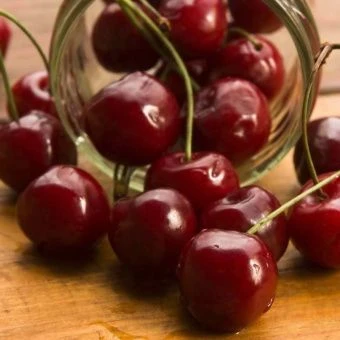 vishnya_apuhtinskaya