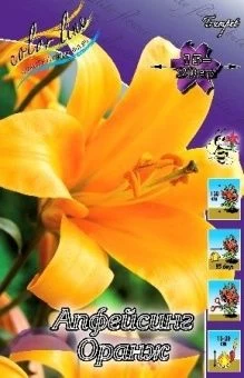 00027572_Лилия Оранж Планет ТГ 5шт (КолорЛайн)