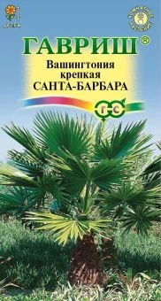 00010058_Вашингтония Санта-Барбара (Гавриш)