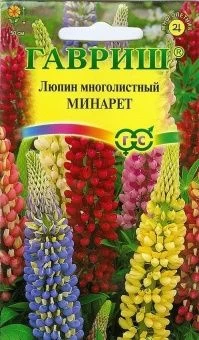00007809_Люпин Минарет многолетний (Гавриш) 1_800