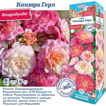 p3tyz1owkip1qvkoqviufjn5a4au3ldx