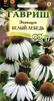 00008200_Эхинацея Белый лебедь (Гавриш) 1_800
