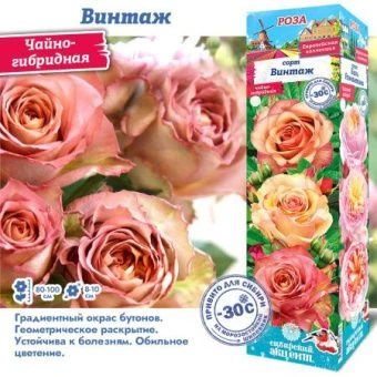 znxjf4b6b9woi0b4auj7so8igfuqlkag