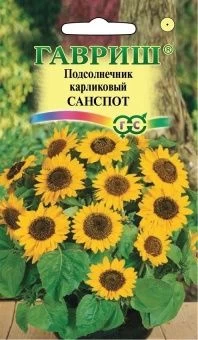 00007964_Подсолнечник Санспот карликовый (Гавриш) 