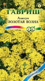 00009393_Алиссум Золотая волна (Гавриш)