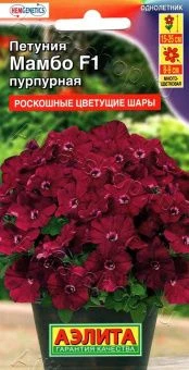 00026867_Петуния Мамбо F1 пурпурная многоцветковая